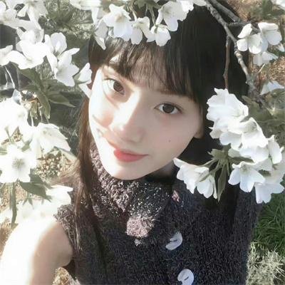 赛马娘 新时代之扉